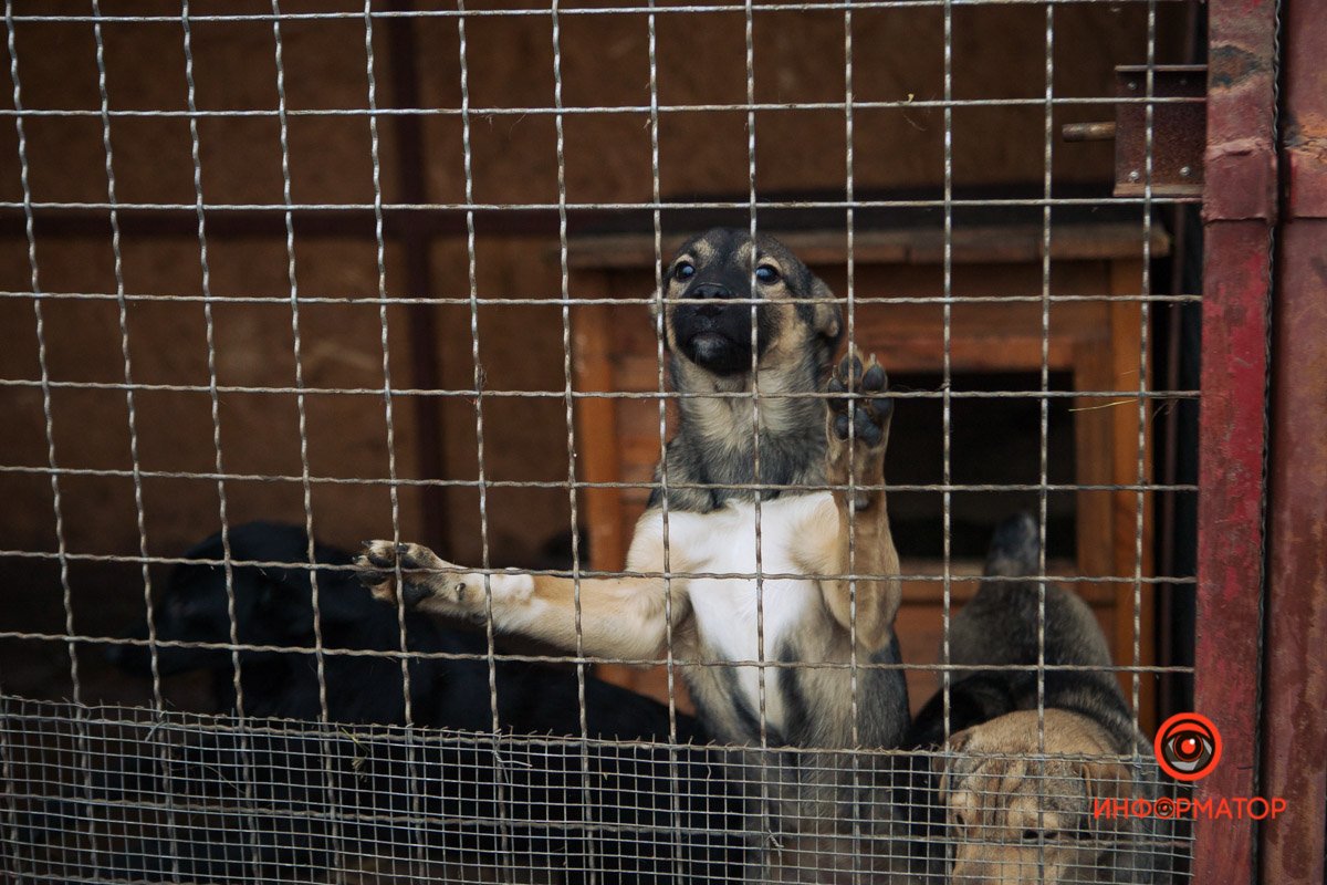 Кому-то не повезло с людьми Кому-то не повезло с людьми