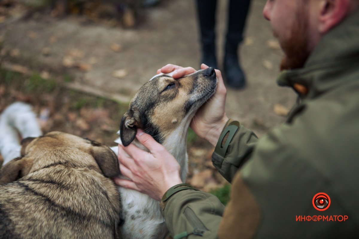 Восполняют недостаток любви Восполняют недостаток любви
