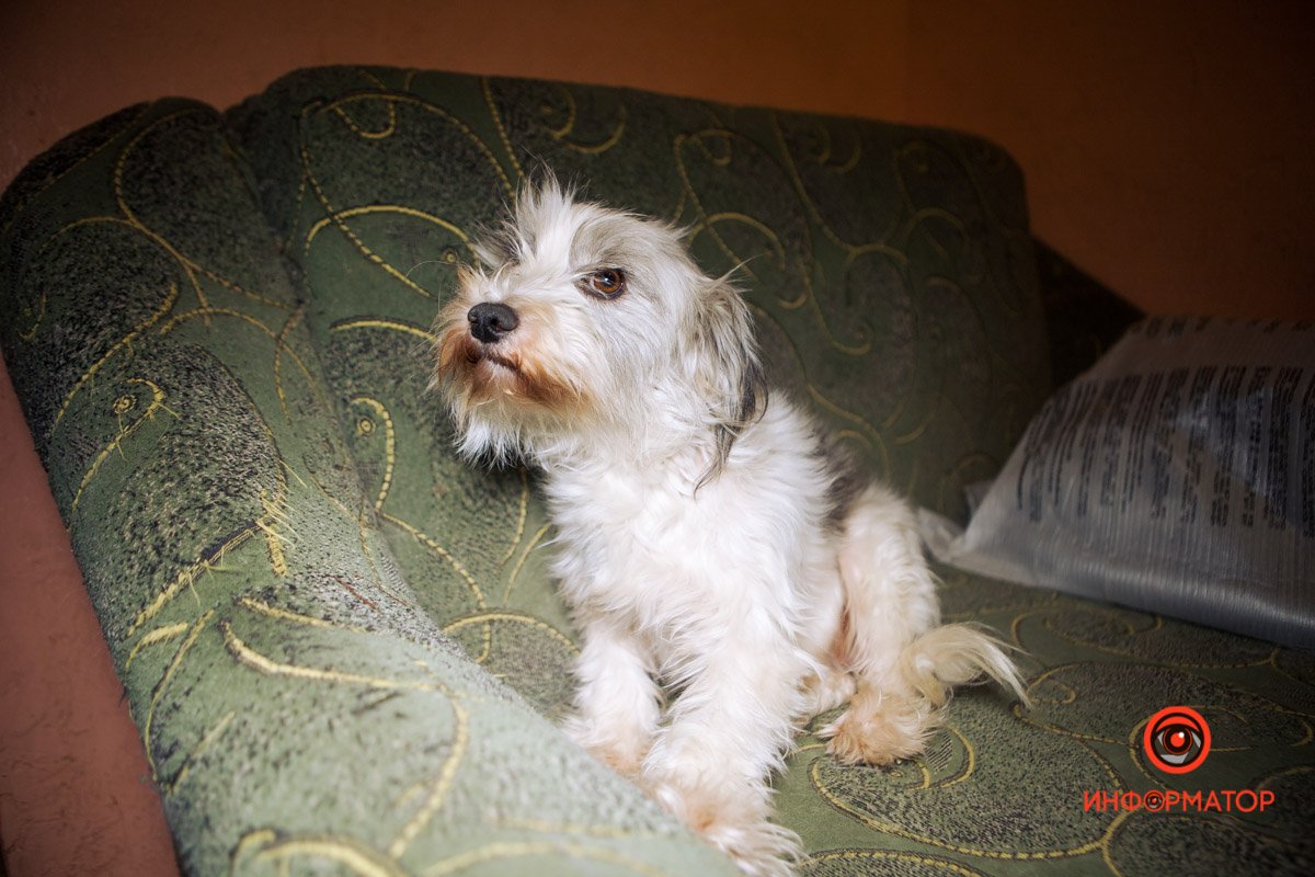 Уютная  Уютная