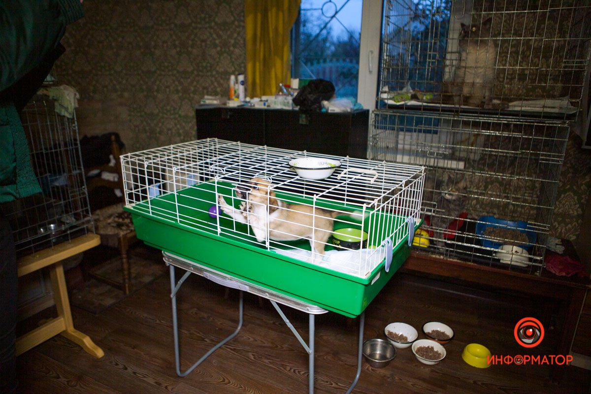 Ребенок Ребенок