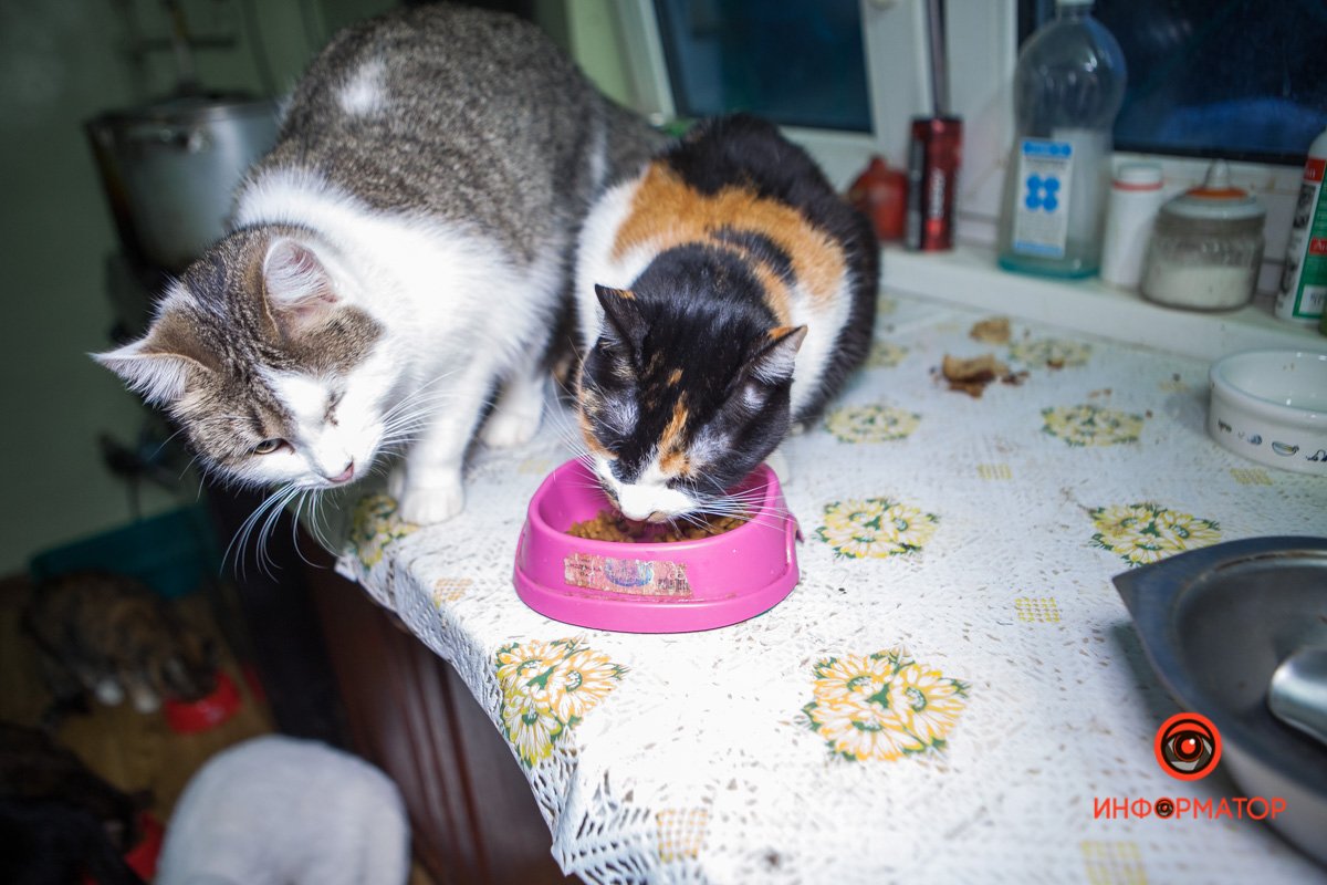 Хорошо, что есть те, кому не все равно Хорошо, что есть те, кому не все равно