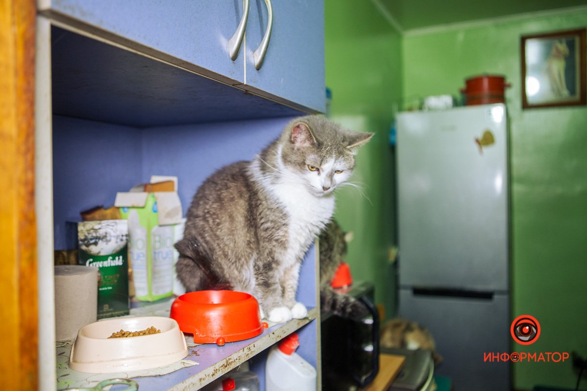 Вас будут ждать Вас будут ждать