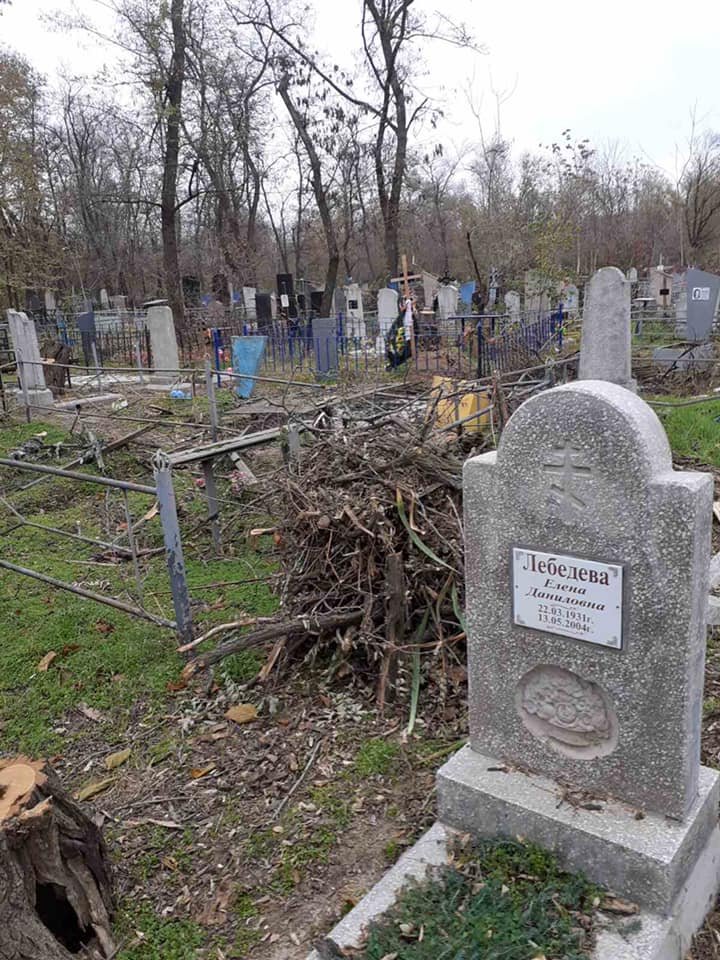 Ветки оставили