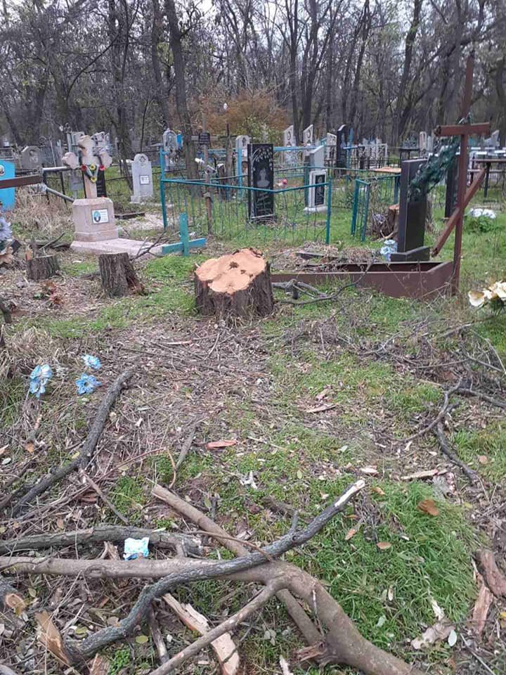 На кладбище остались еще деревья