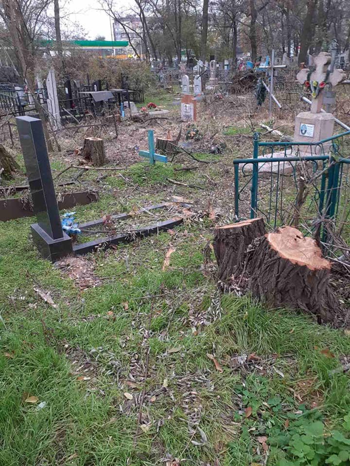 Что будет с другими деревьями?