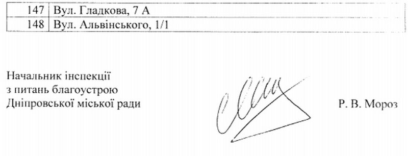 В Днепр привезли елки: стоимость и где будут продавать 5