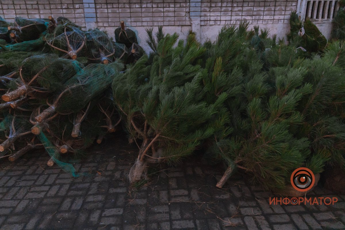 Winter is coming ❄ Winter is coming ❄