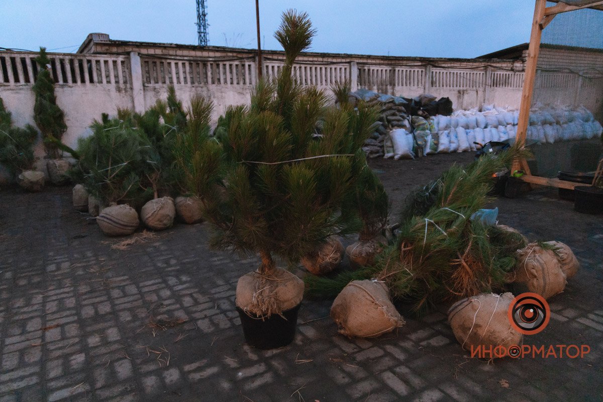 Этой зимой цена будет варьироваться от 150 до 300 гривен Этой зимой цена будет варьироваться от 150 до 300 гривен