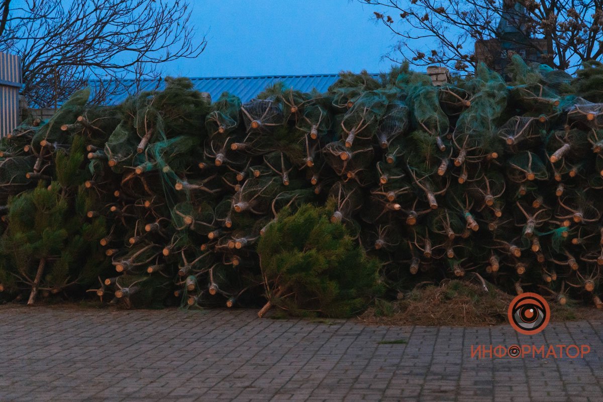 Свято наближається ⭐ Свято наближається ⭐