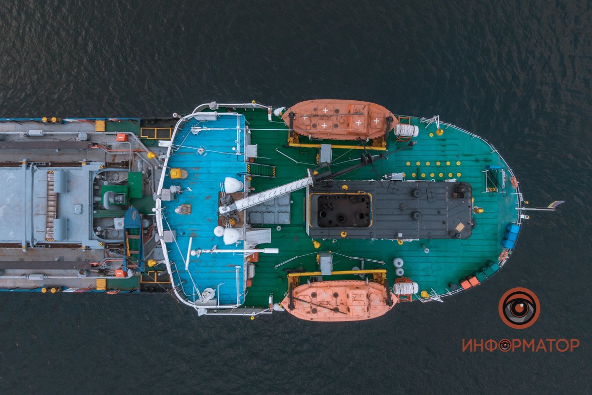 Лицо муравья