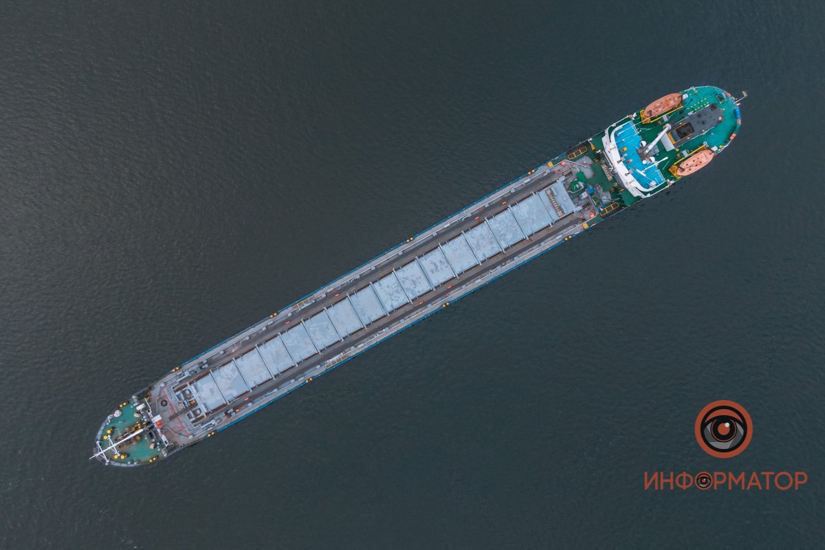 Стрекоза без крылышек