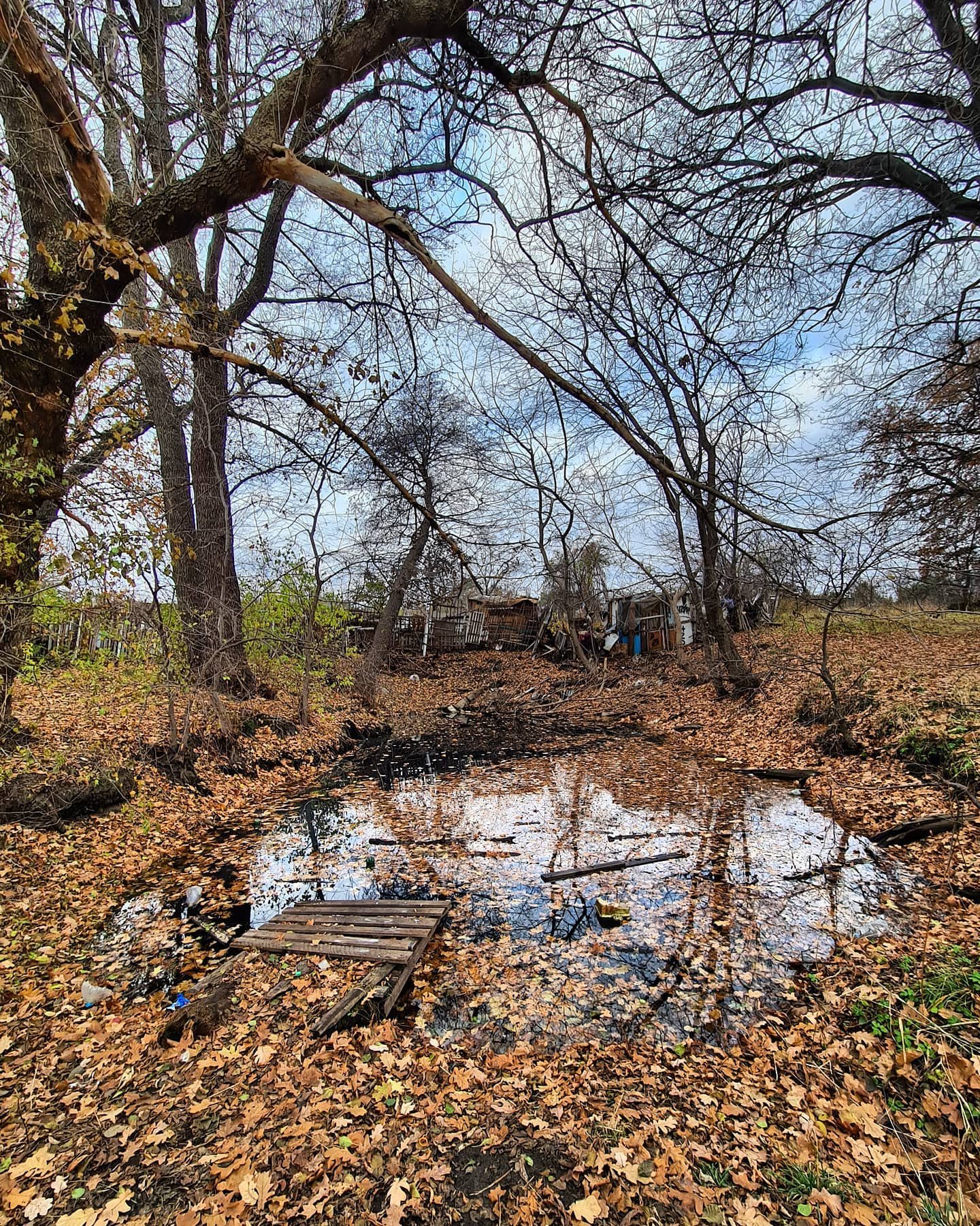 natalim7778 natalim7778