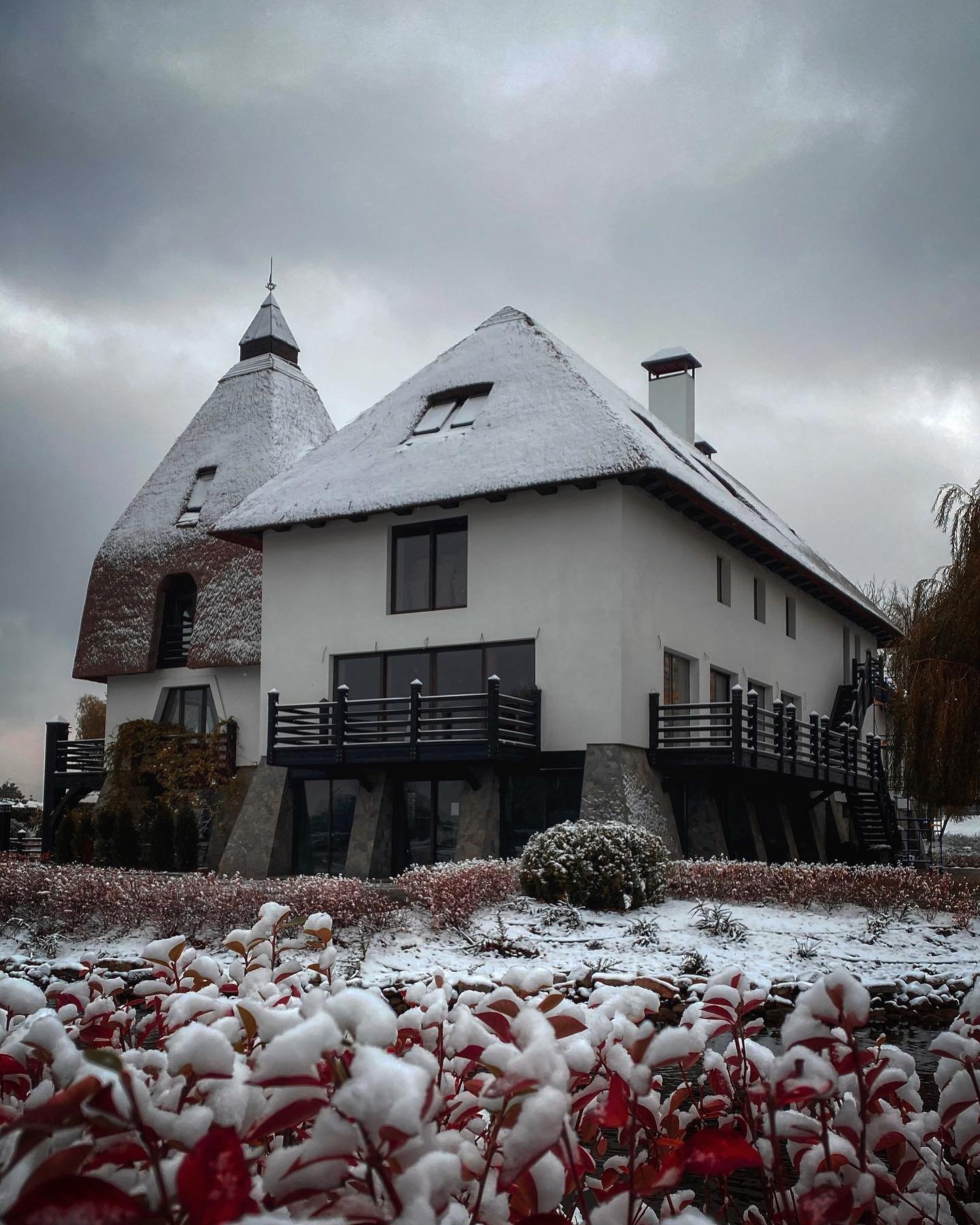 garackevich.irina garackevich.irina