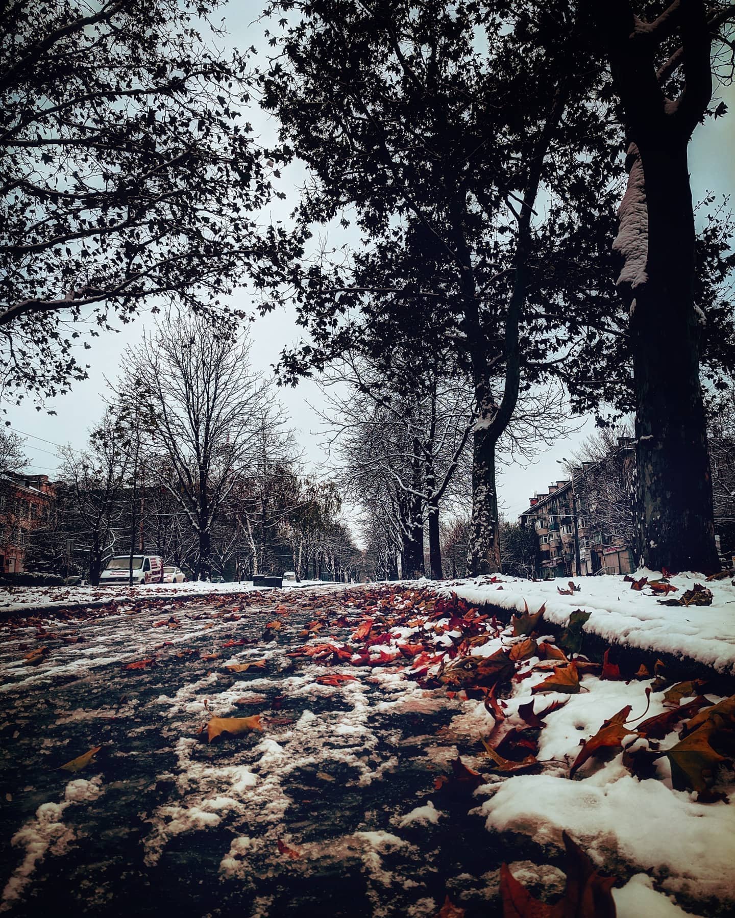 golovko_andrew_ golovko_andrew_