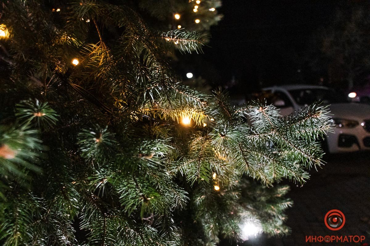 Саня, доставай мандарины!