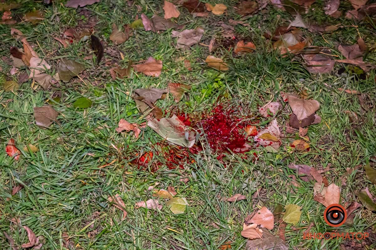 Фото: Влад Лестев Фото: Влад Лестев