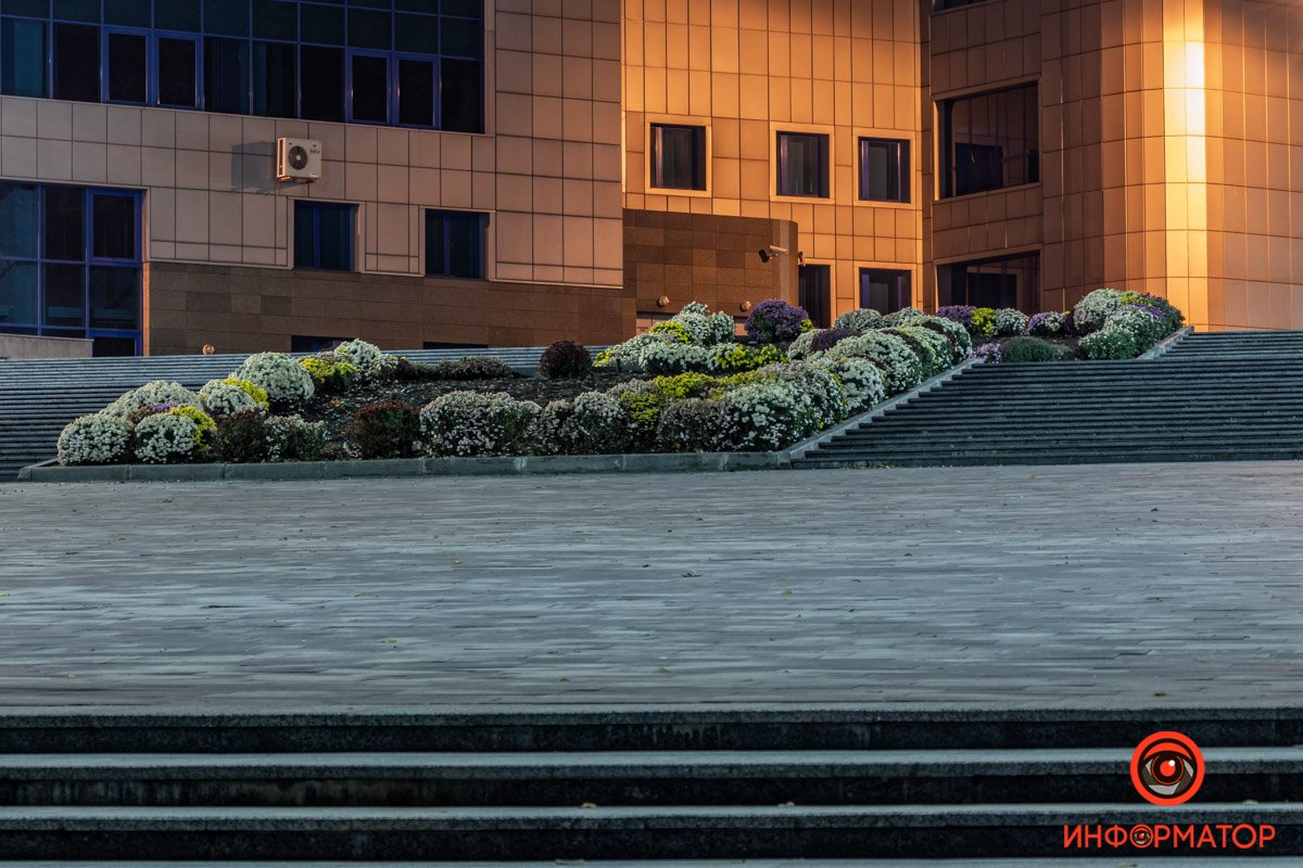 Разноцветные клумбы Разноцветные клумбы