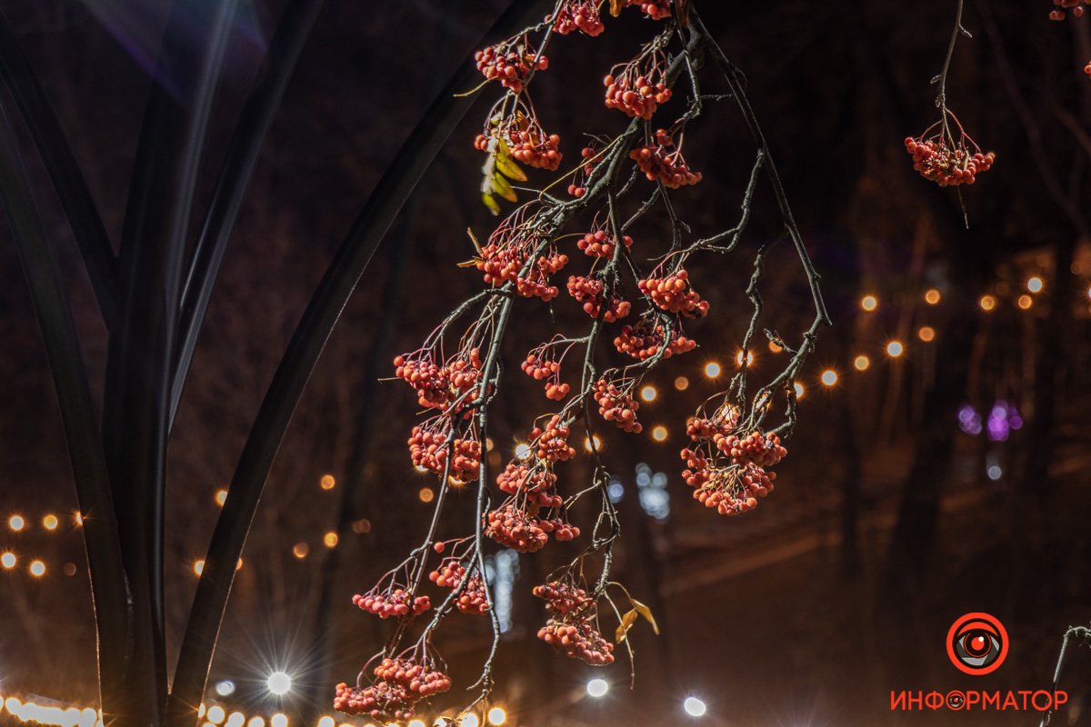 Краски осени Краски осени