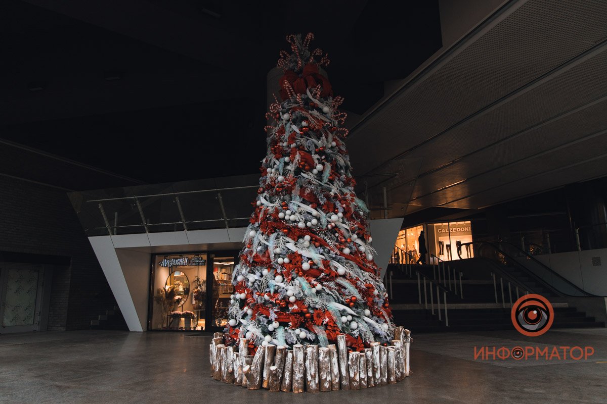 Вечнозеленая красавица