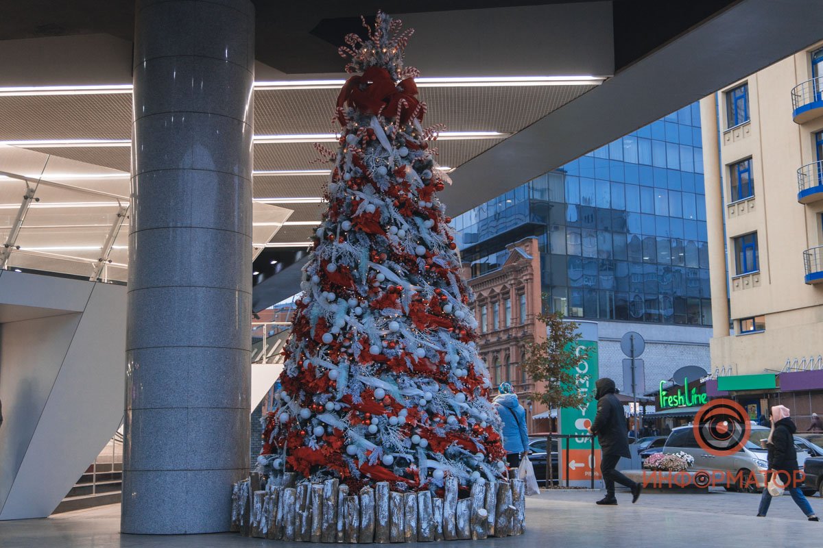 Это не первая елочка в Днепре
