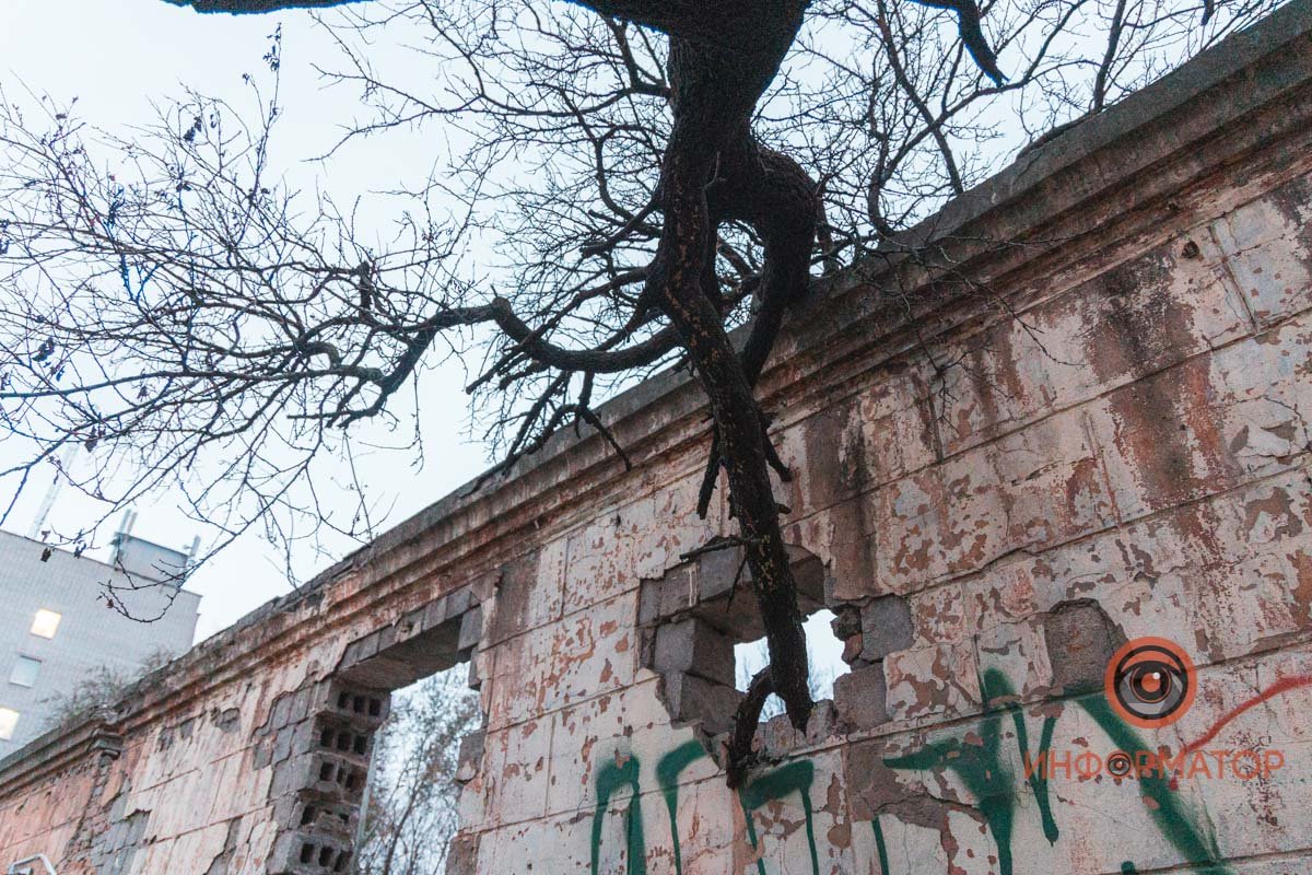 Природа победила Природа победила