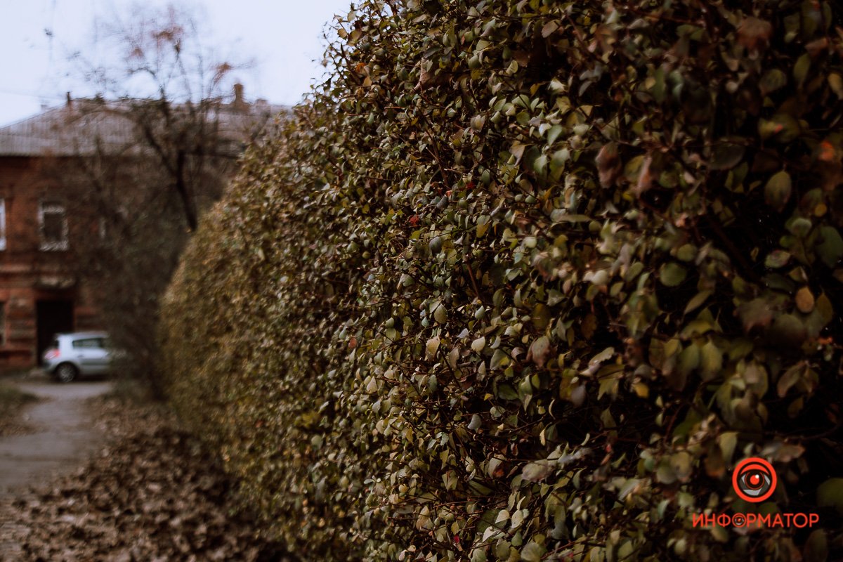 Её гасить пытались с детства - Её гасить пытались с детства -