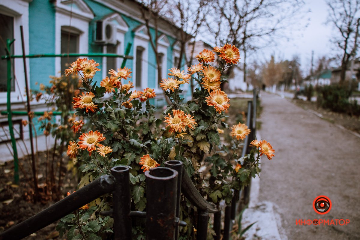 И выжил, черт меня дери! И выжил, черт меня дери!