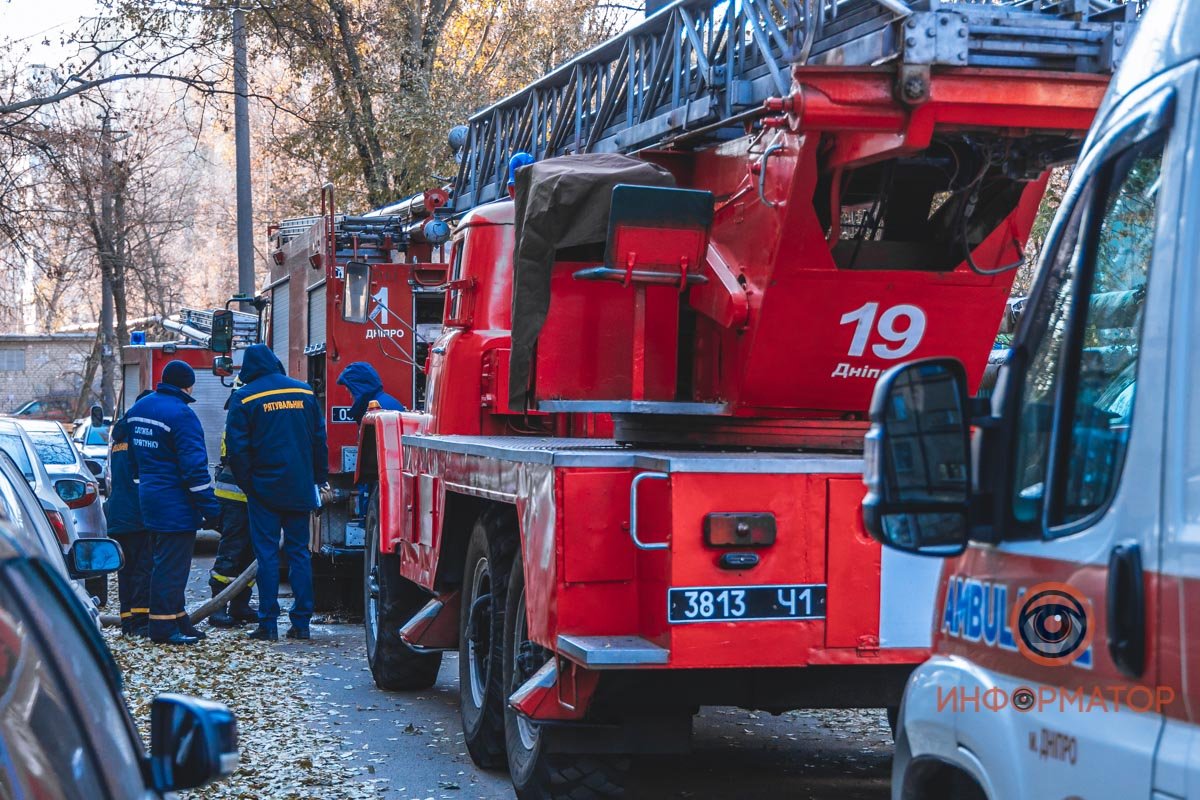 Спасатели откачали животных, они живы Спасатели откачали животных, они живы