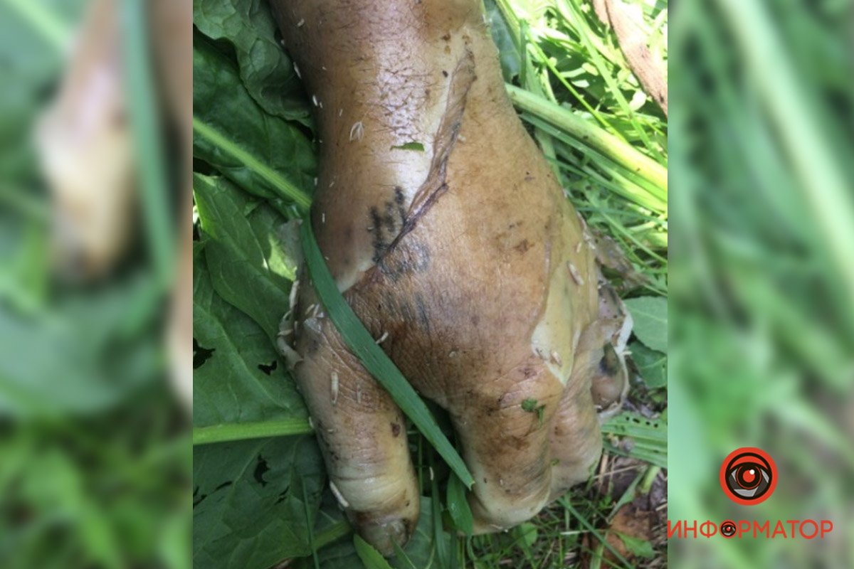 Татуировка в виде буквы "В" на левой руке