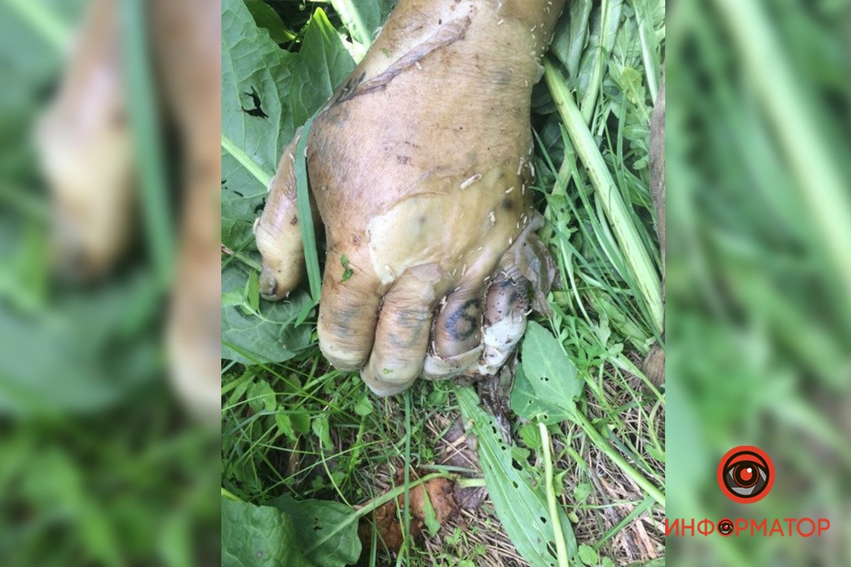 Татуировка "1963" на пальцах левой руки