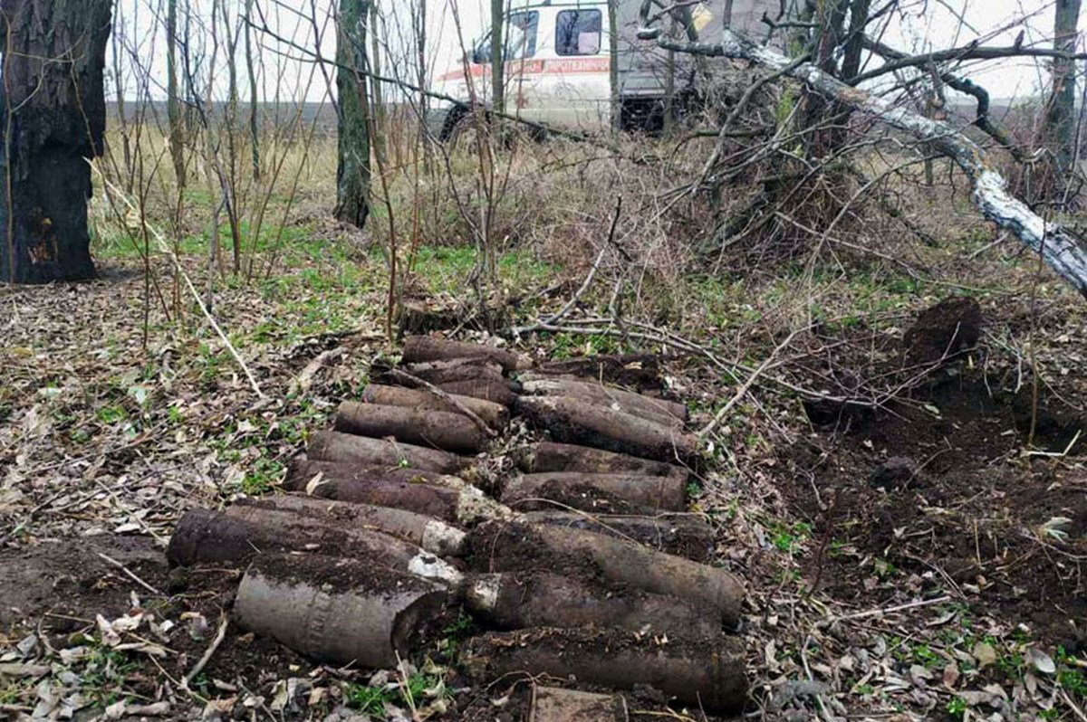 В лесополосе нашли 26 снарядов 