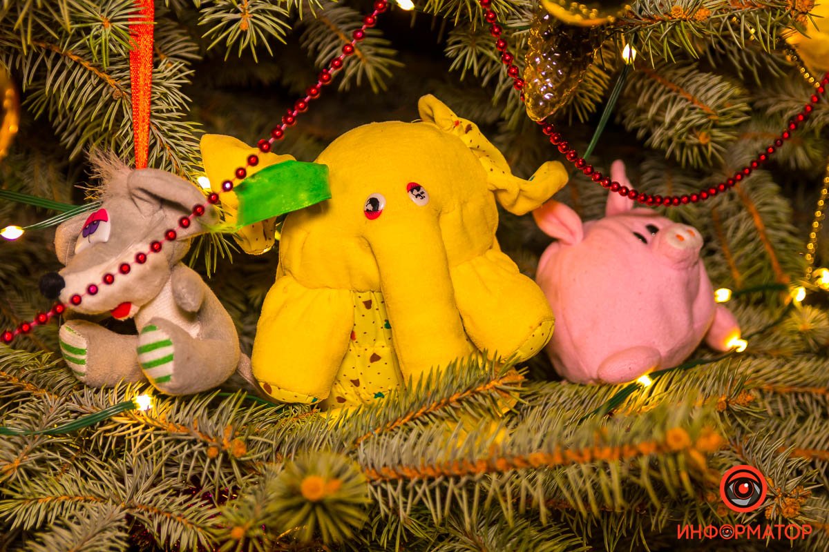 Эхо детства