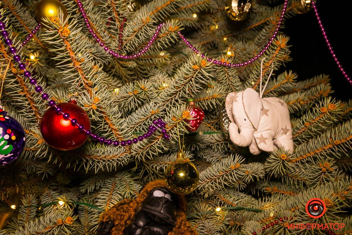 Наверняка где-то здесь притаился Щелкунчик