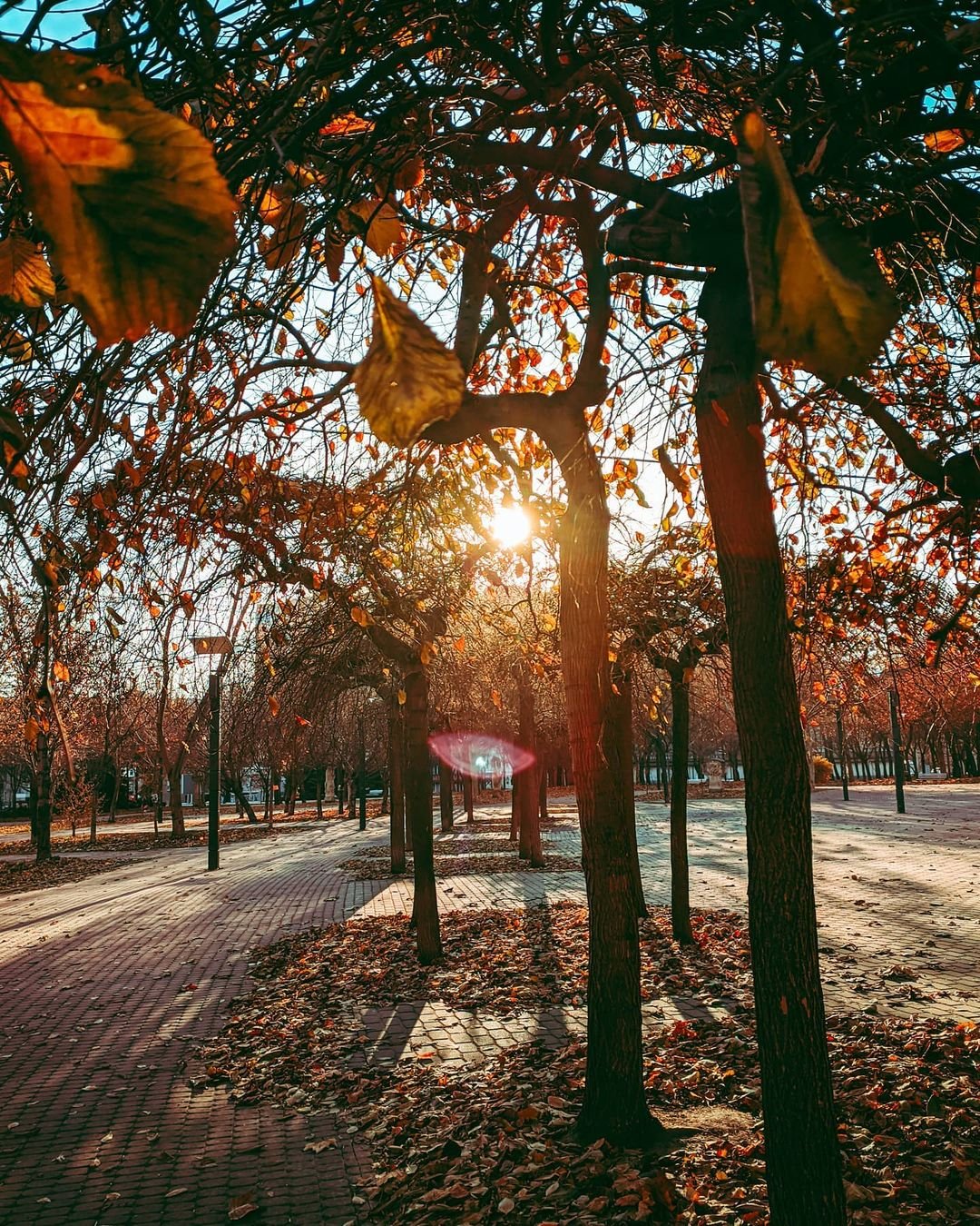 Фото: @golovko_andrew
