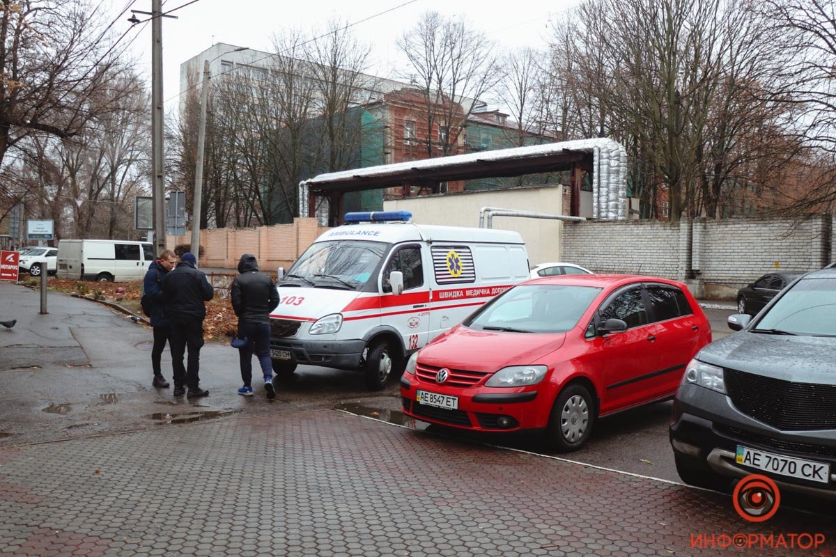 Зебры на данном участке нет