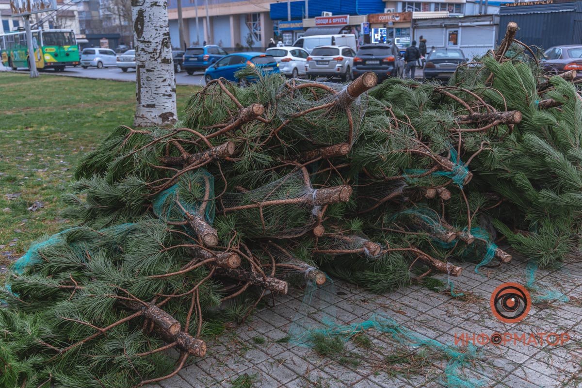 Цена разная - в зависимости от размера и типа дерева