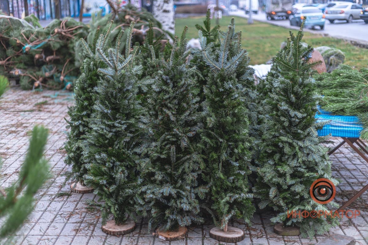 Такие сосенки стоят на порядок дороже