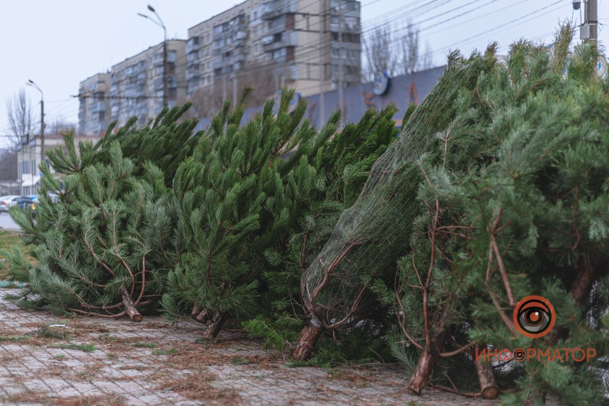 Выбор огромен