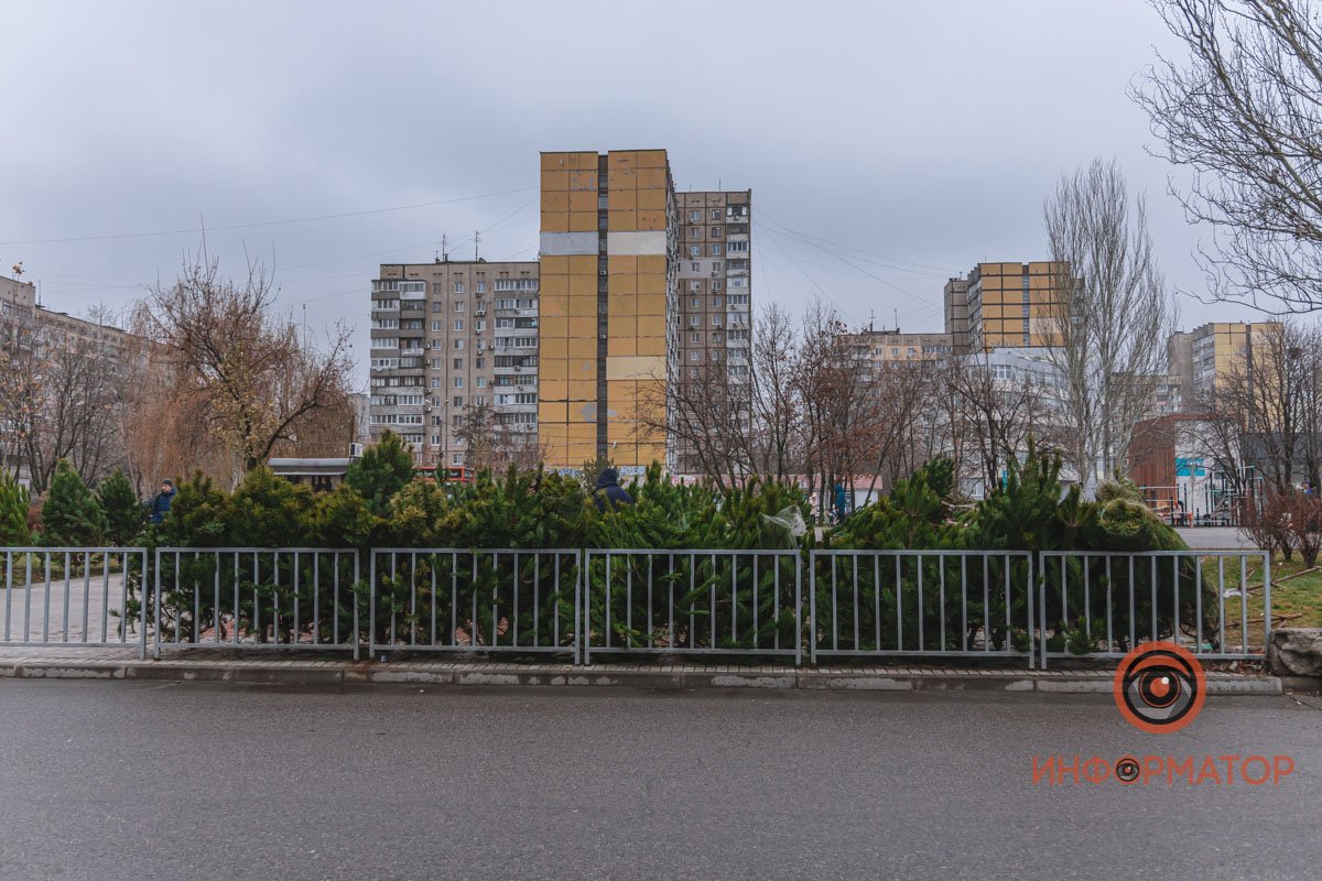 Маленький елочный базарчик работает с самого утра