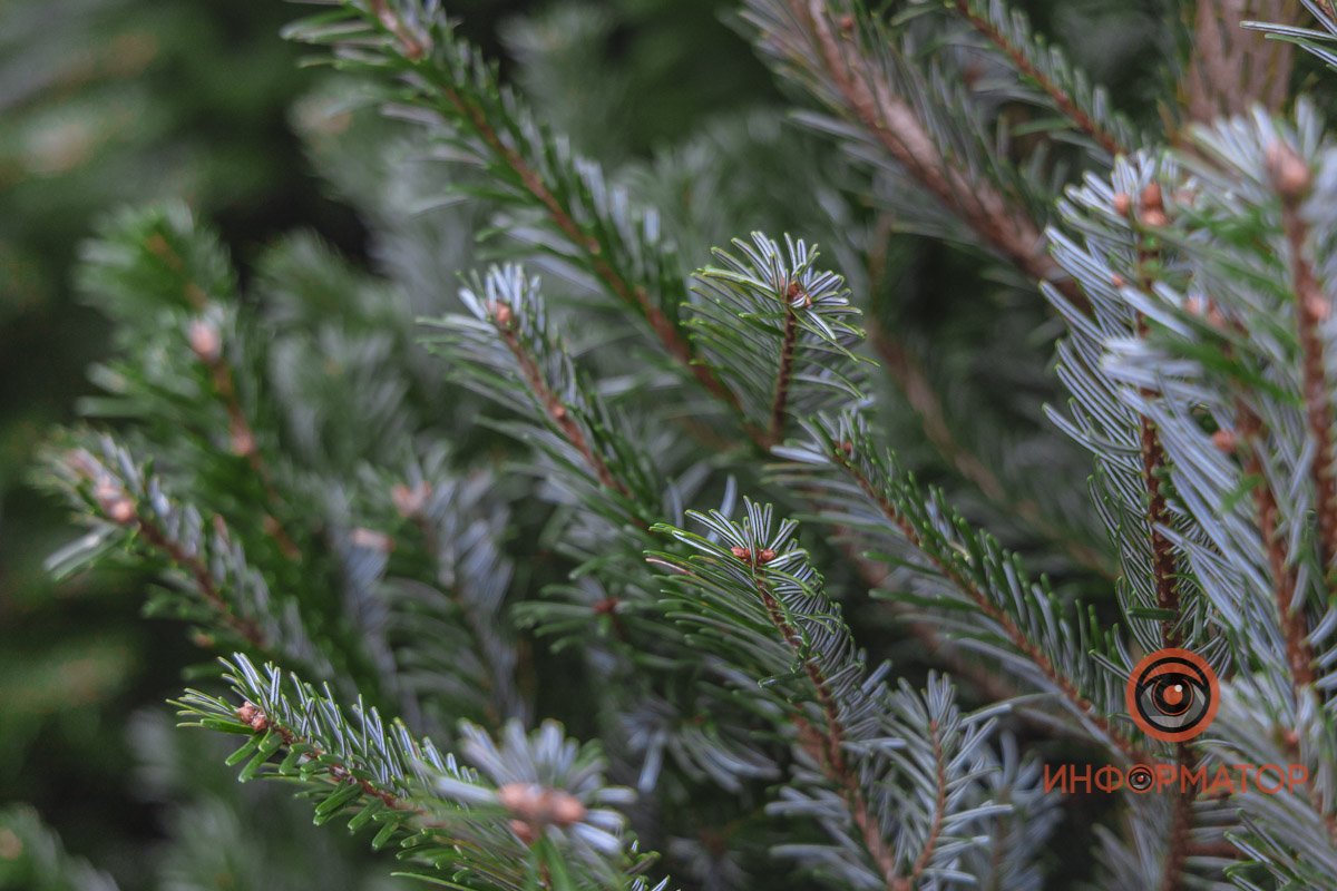 Фотография с запахом