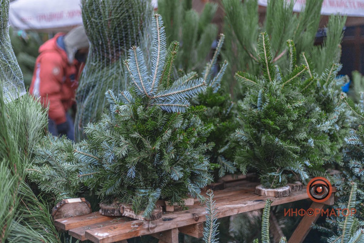 Цены разные, поэтому лучше уточнять по месту