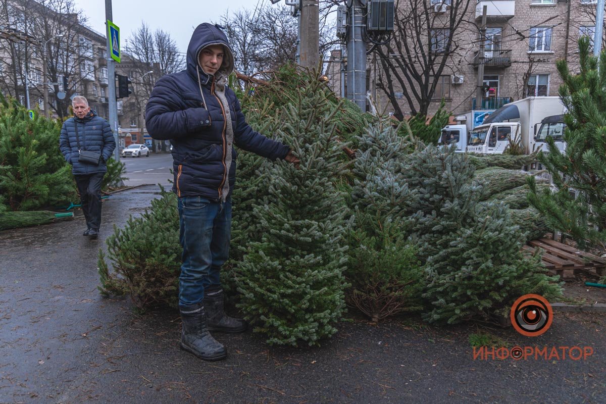 Такая красавица стоит в районе 2 тысяч гривен
