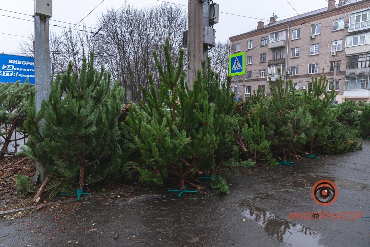 Днепр вовсю готовится к самому волшебному празднику в году