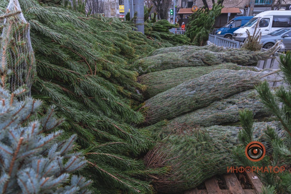 Места официальных продаж елок — это 148 адресов в разных районах города и порядка 60-ти рынков