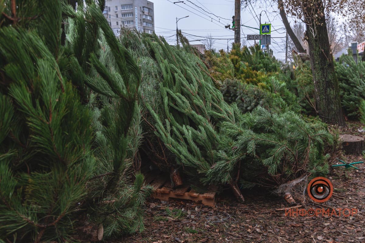 Продавцы помогут вам с выбором