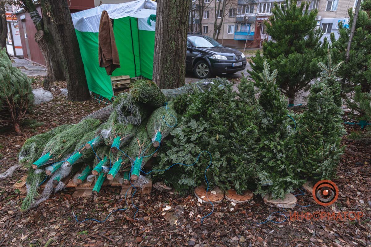Тур по елочным базарам в Днепре: какие елки продают и сколько они стоят 29