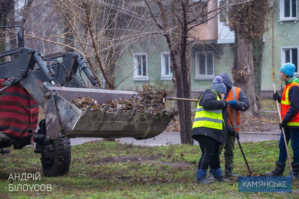 Мэр Каменского проверил, как убирают листву с территории города 3