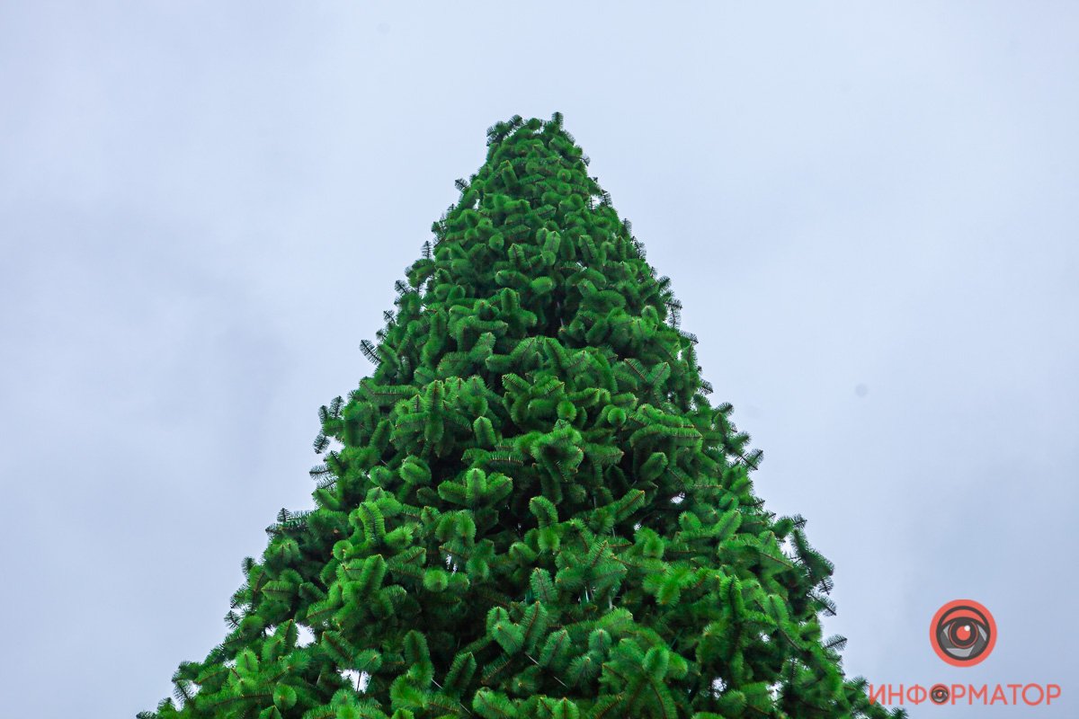 Елку в парке Глобы только-только собрали Елку в парке Глобы только-только собрали