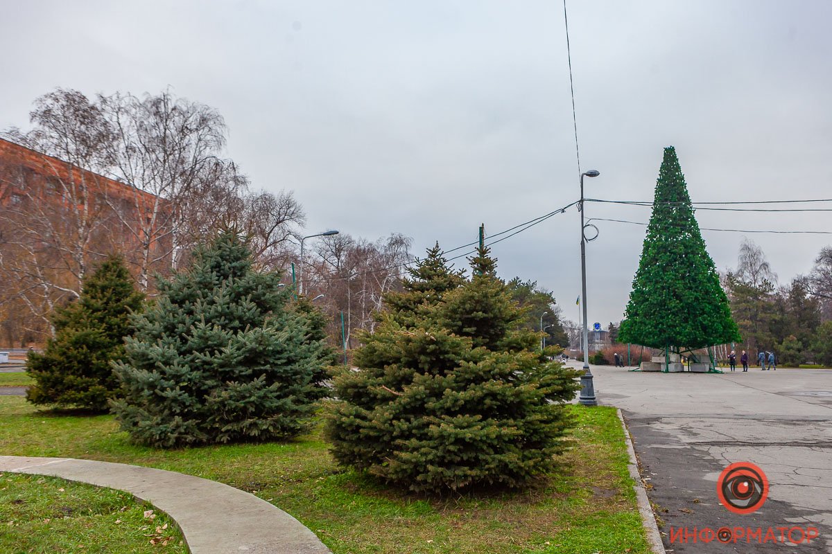 Смешарики в мире елок 😀 Смешарики в мире елок 😀