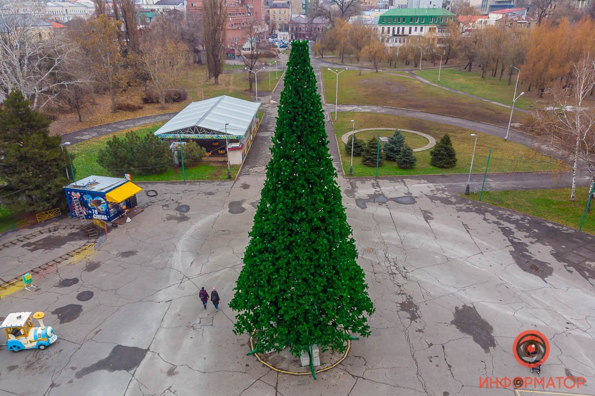 На фоне серого пейзажа даже не наряженной елка кажется яркой На фоне серого пейзажа даже не наряженной елка кажется яркой